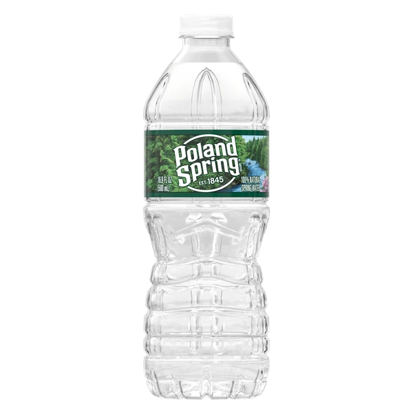 16.9 fl oz Bottled Water, Single